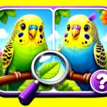 Budgie Spot the Difference